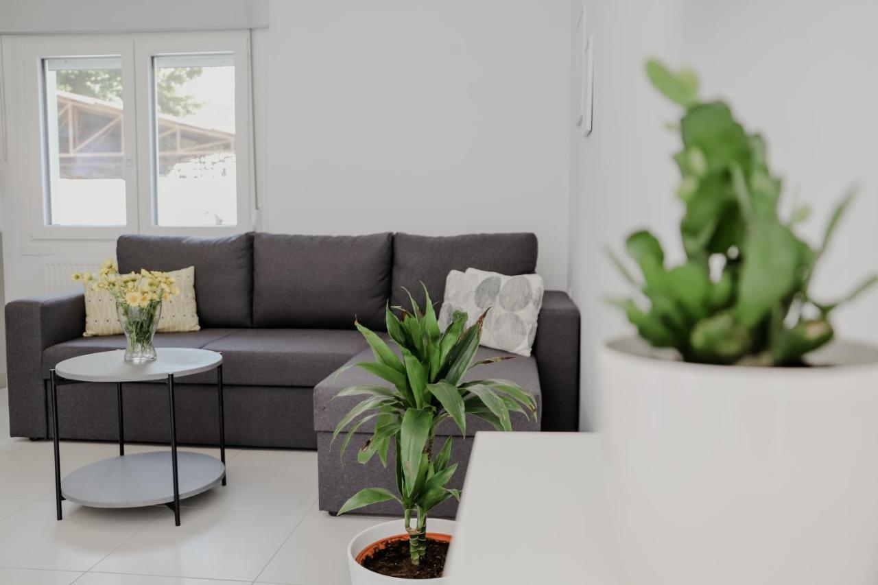 The Olive House Apartment Nea Peramos  Luaran gambar