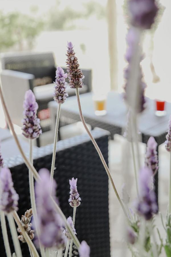 The Olive House Apartment Nea Peramos  Luaran gambar
