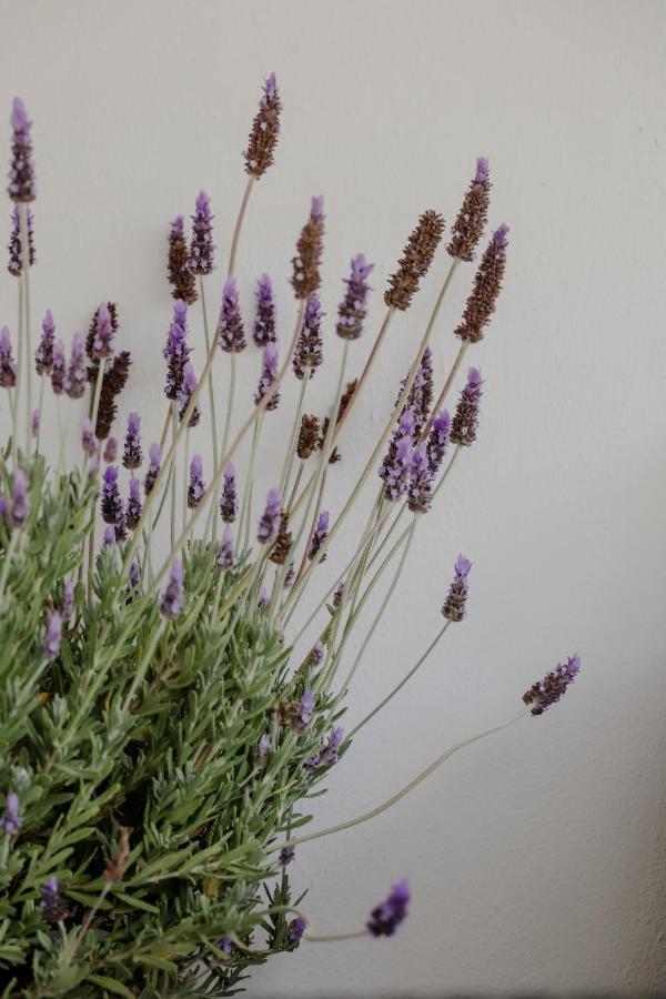 The Olive House Apartment Nea Peramos  Luaran gambar